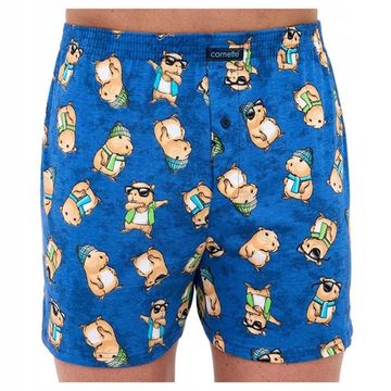 Трусы мужские семейные Cornette Classic 001/178