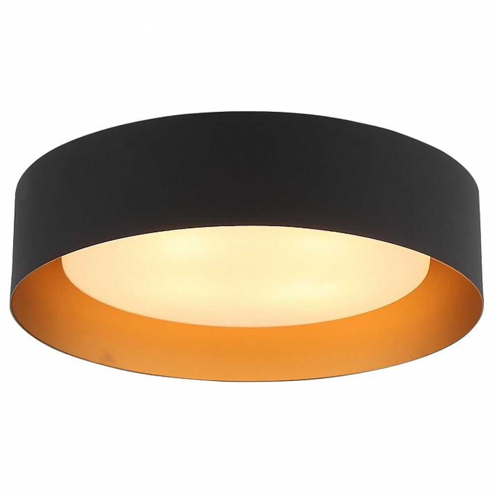 Накладной светильник ST-Luce SL392.422.04