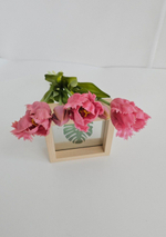 Тюльпаны бахромчатые / Арт 2546