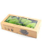 Мох кочкообразный "Verdissimo"