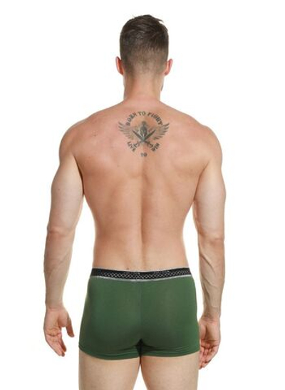 Мужские трусы-боксеры из микромодала с широкой мягкой резинкой (Размер: L) (Цвет: зеленый)