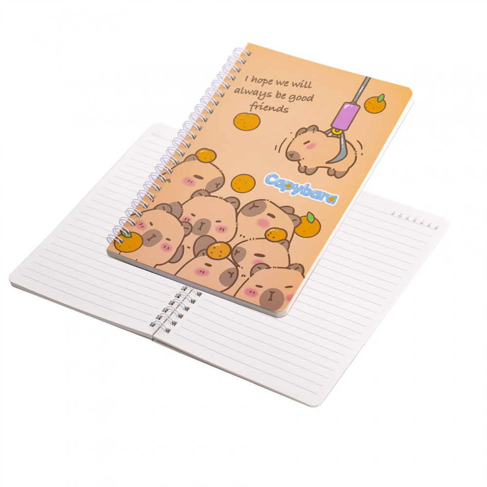 Набор школьный Alingar, "Capybara", 26 предметов, картонная коробка