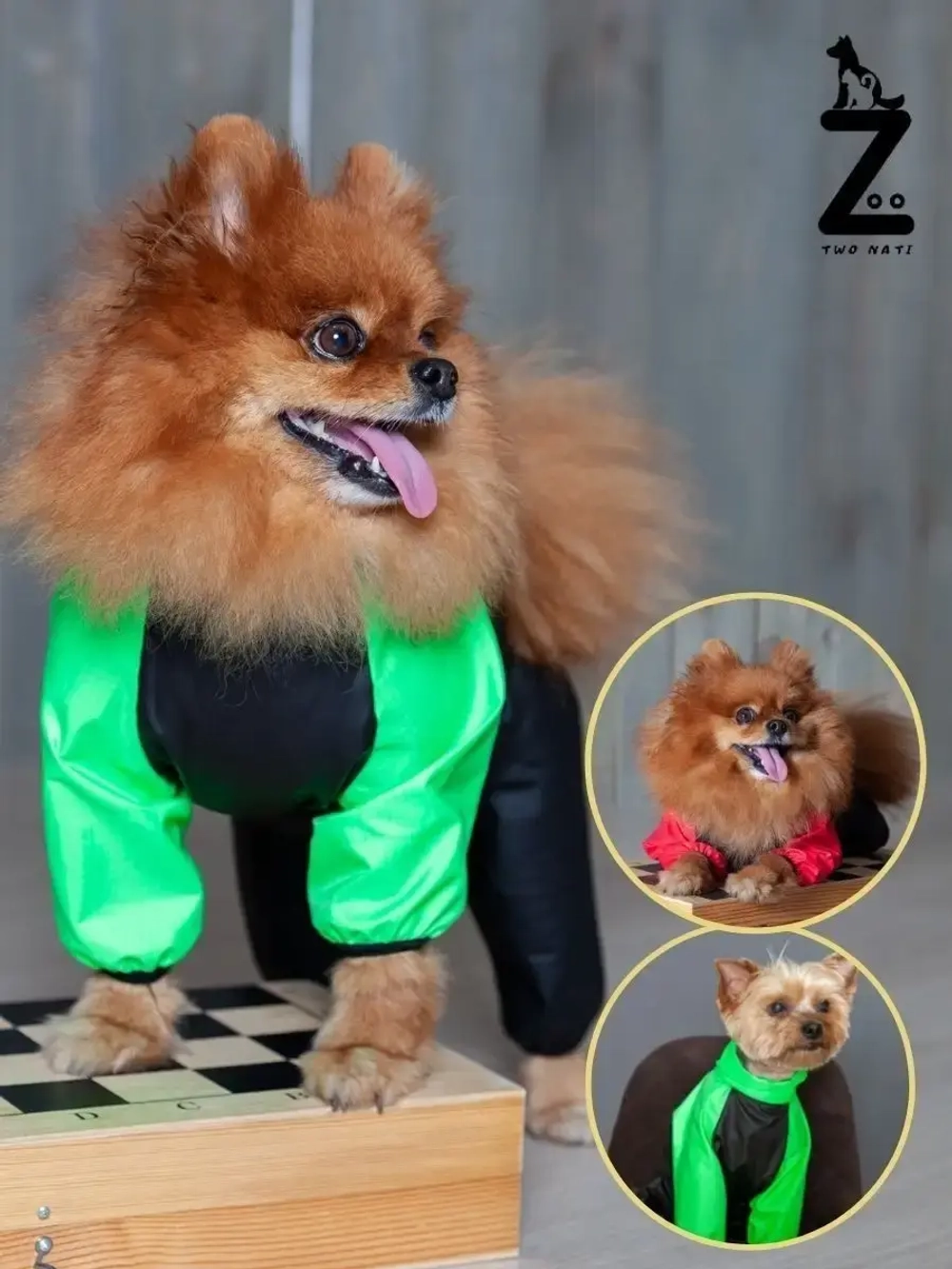 Комбинезон для мелких и средних собак