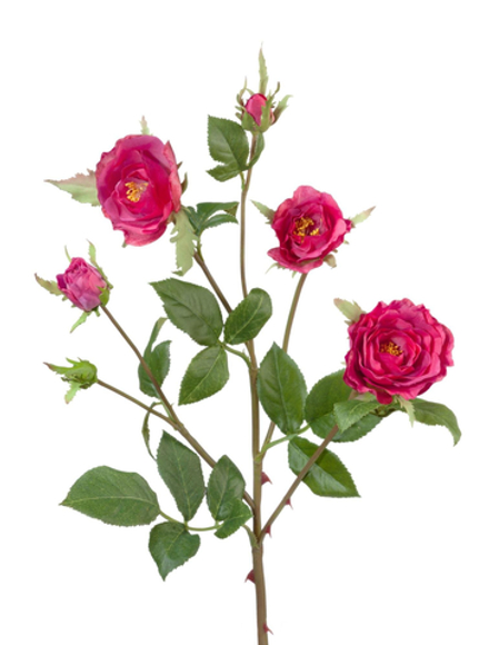 Роза Вайлд ветвь темно-малиновая, в-41 см