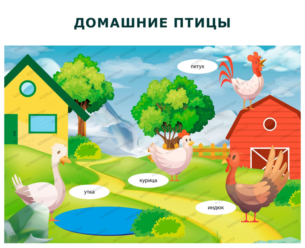 Комплект развивающий Природа: Домашние птицы. Домашние животные. Домашние птенцы 2196