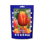 ТЮЛЬПАН БАХРОМЧАТЫЙ ФАБИО/FABIO 12/14 DARIT 5 ШТ/УП