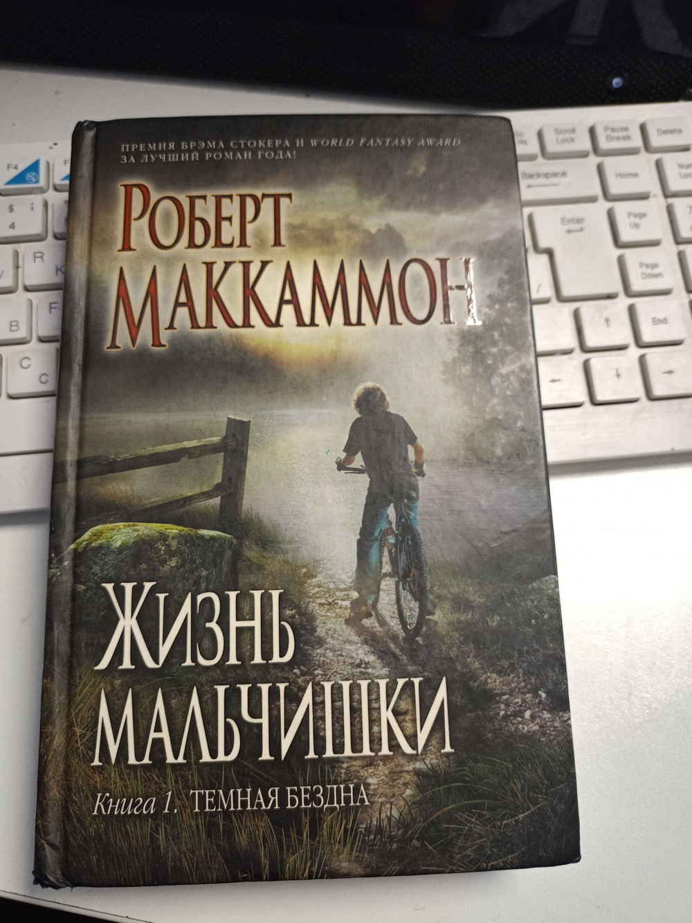 Жизнь мальчишки. Книга 1. Темная бездна.