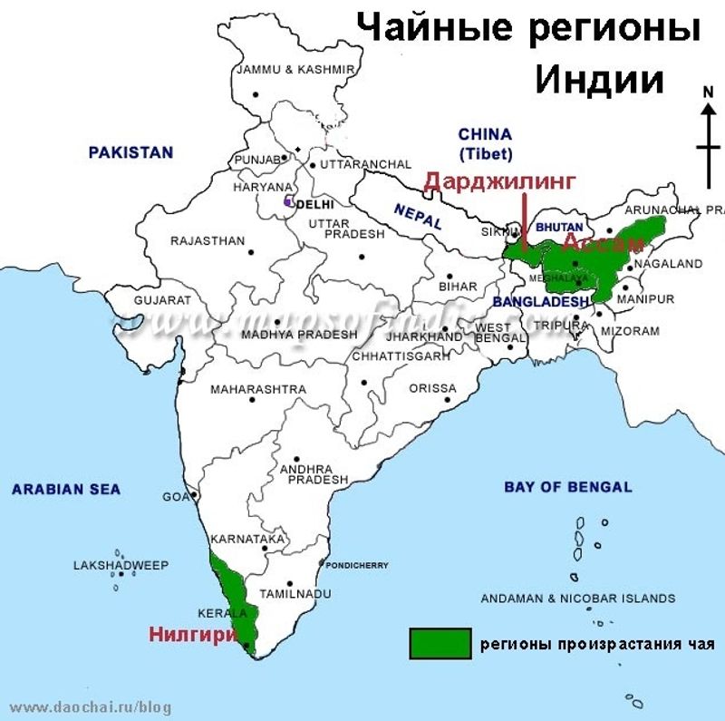 Ассам- чайная география