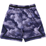 Шорты Jordan Dri-FIT Logo, FD7650-502