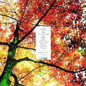 Ludovico Einaudi / In A Time Lapse (2LP)