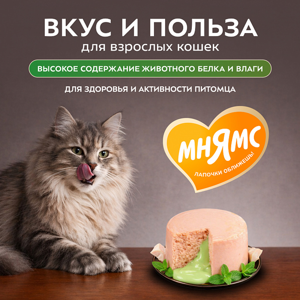 Влажный корм для кошек Деликатес Фондан из мяса курицы с кошачьей мятой Мнямс 80 г 6 шт