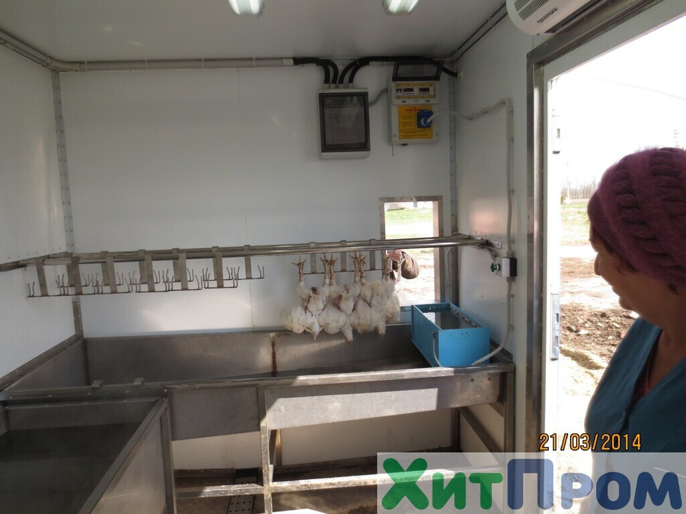Линия убоя бройлера и несушки до 120 голов/час с вакуумным потрошением. Краснодарский край