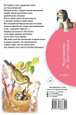 Лесные рассказы