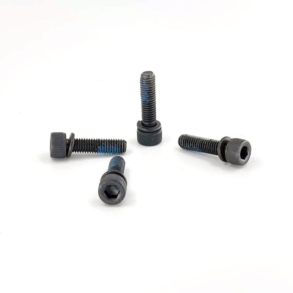 WDK-20420S-19/ Винт и шайба задней крышки