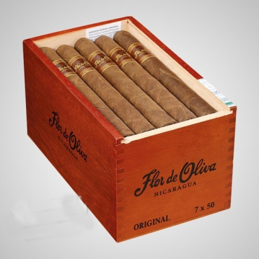 Flor De Oliva Churchill