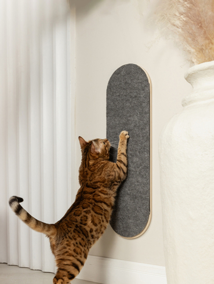 Когтеточка настенная Focus