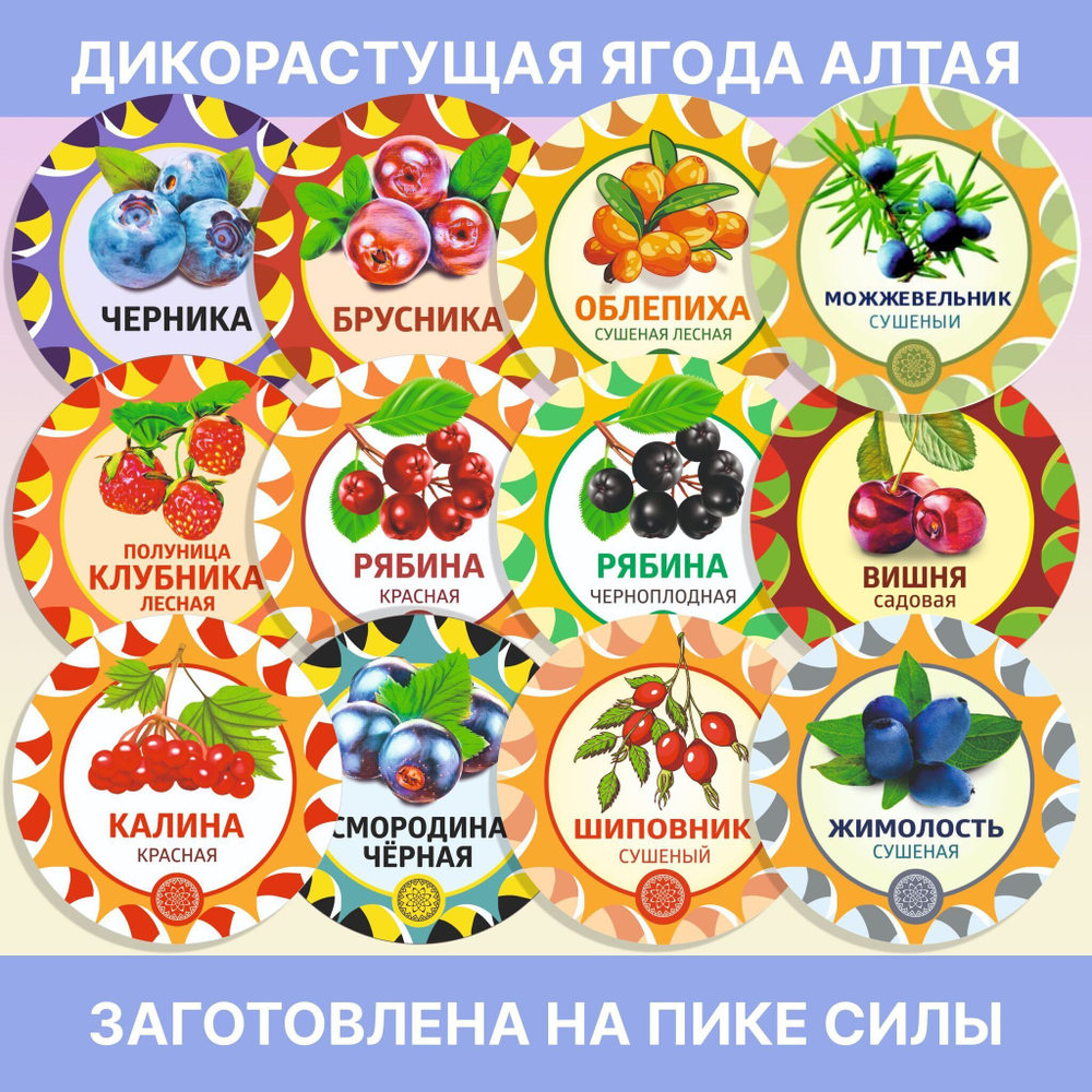 Зизифора трава сушеная.