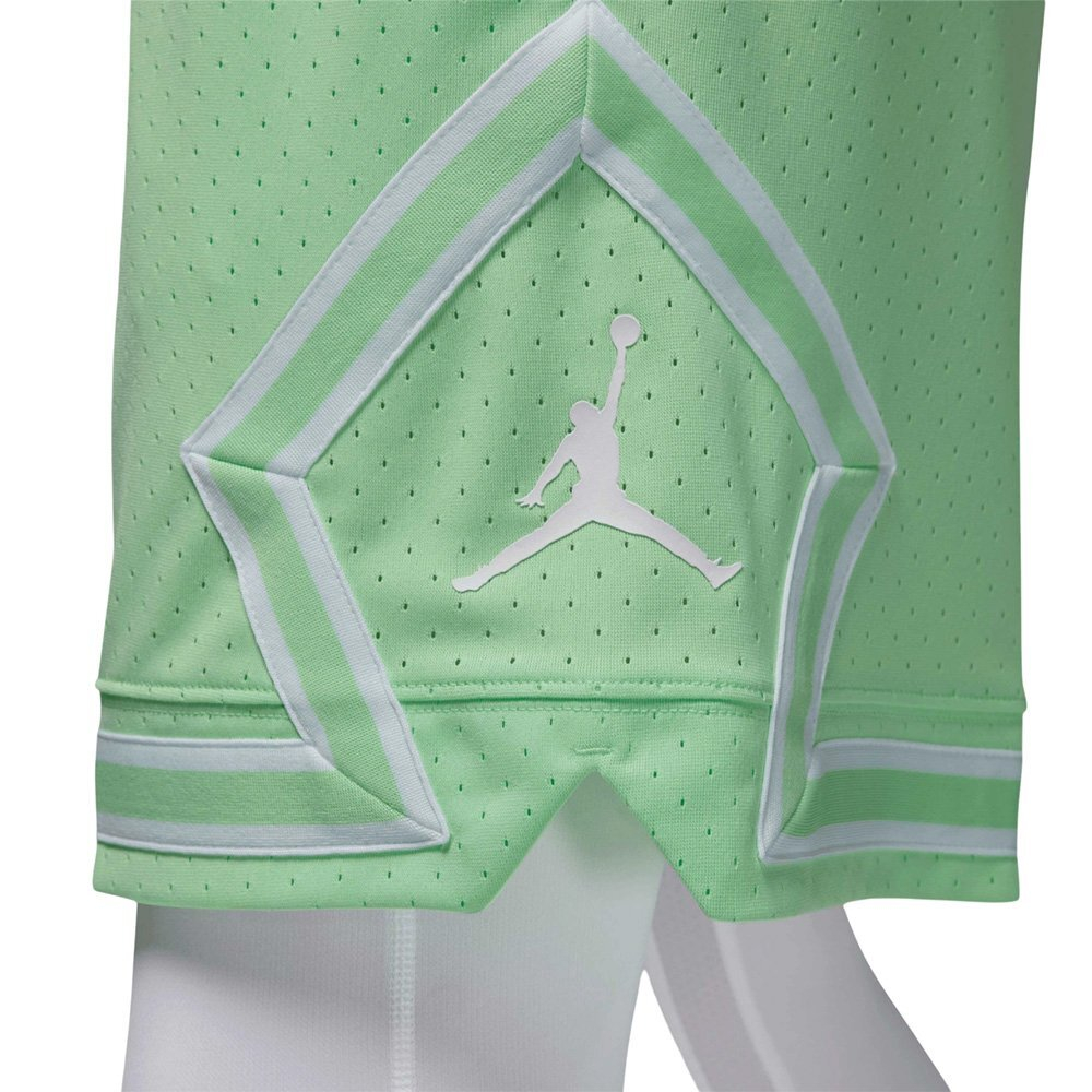 Шорты Jordan Sport Dri-FIT Shorts Green