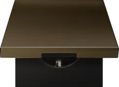 Donel R98 METAL латунь накладка для розетки Schuko с с крышкой, 16A 250 В~, серия DA