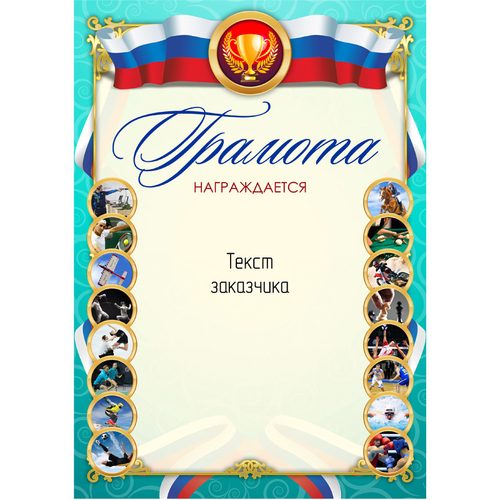 PNDiploma-008 с текстом