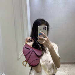 Christian Dior Saddle Bag 25 cm