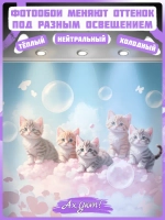 Фотообои для девочки милые котики и бабочки