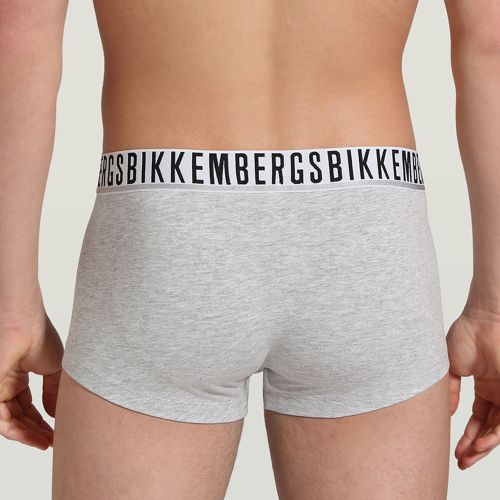 Мужские трусы боксеры серые набор 2в1 Bikkembergs ESSENTIAL BKK1UTR01BI