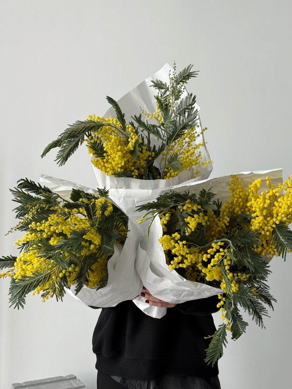 Охапка мимоза 3 шт