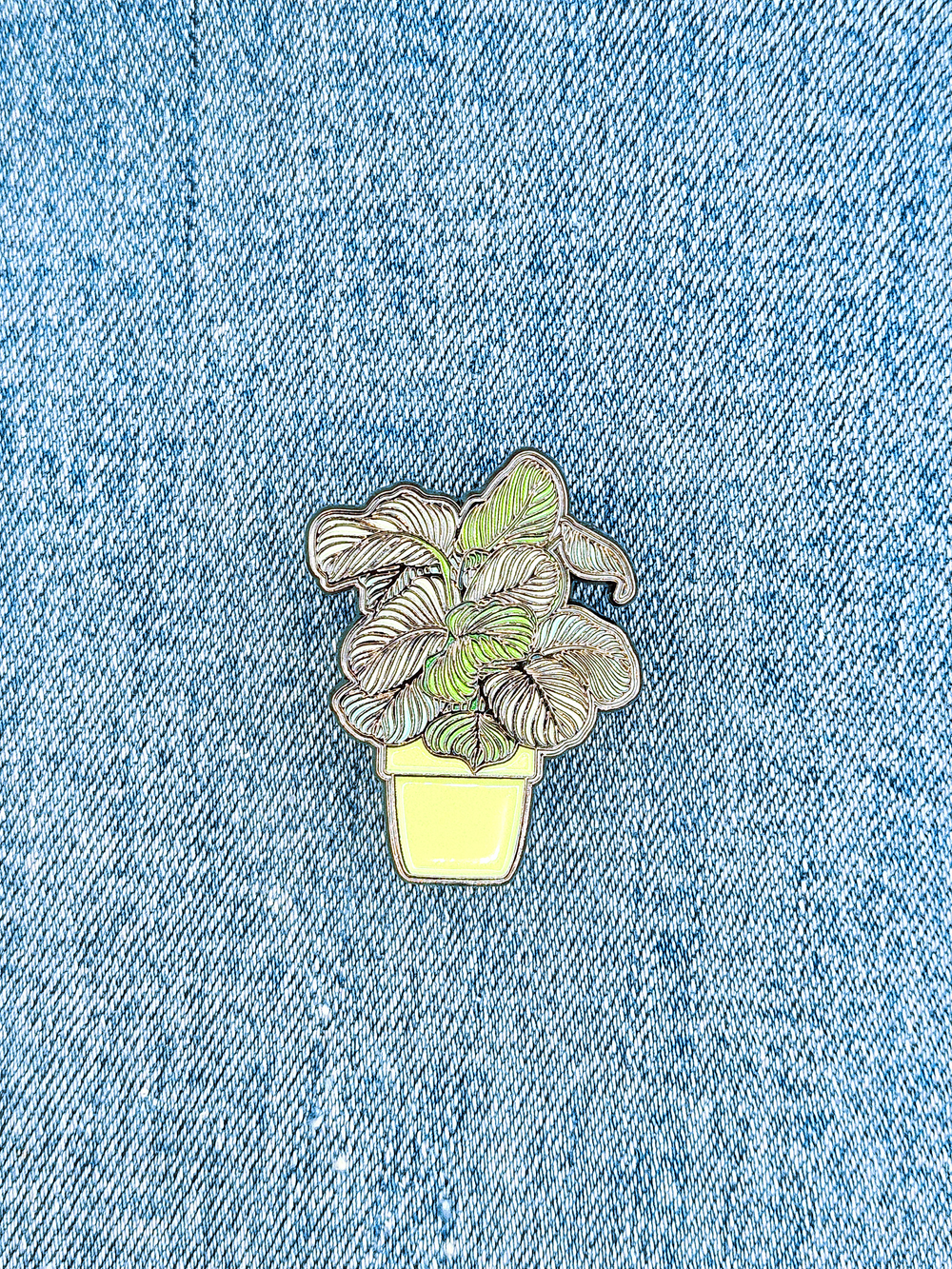 Значок Калатея