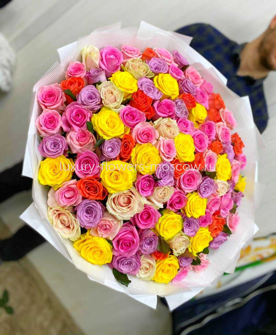 101 роза из разных цветов