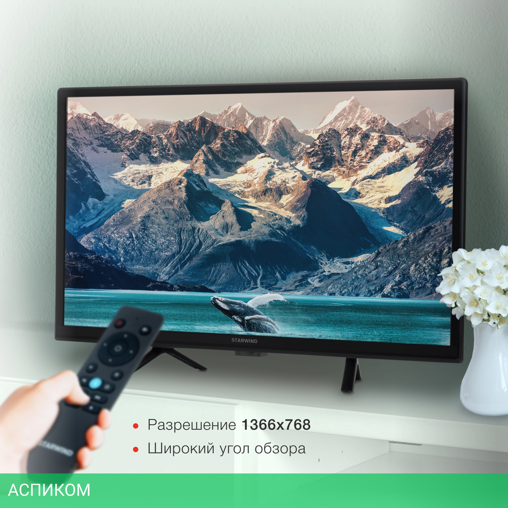 Телевизор LED Starwind 24" SW-LED24BG202