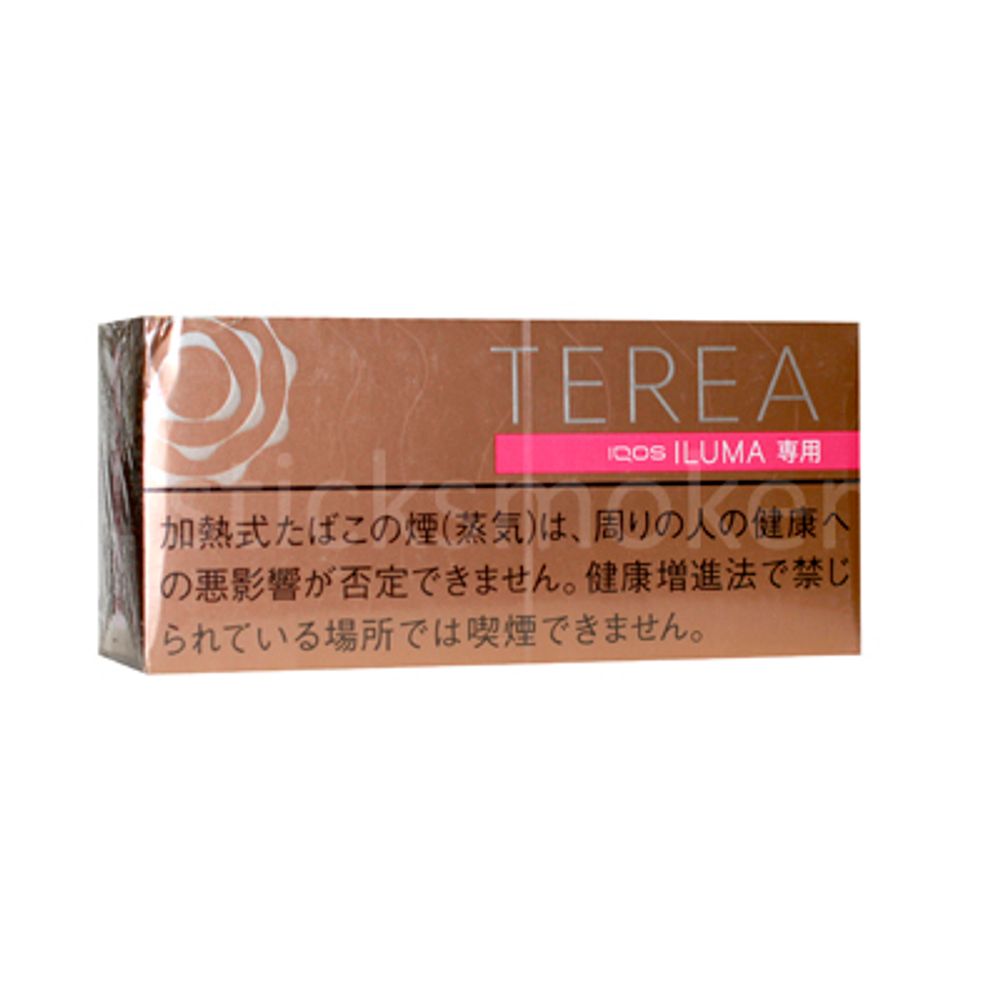 Terea Warm Regular JP