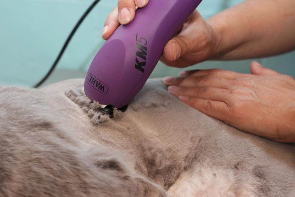 Машинка для стрижки животных Wahl KM5, фиолетовая (1260-0470) - 10