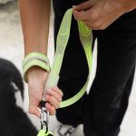 Ультра-легкий поводок Nit GLUTEN 100 см Zee.Dog