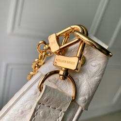 Louis Vuitton Loop