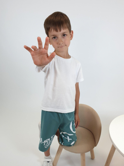 18-35-4 Шорты для мальчика