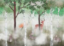 Коллекция Лес