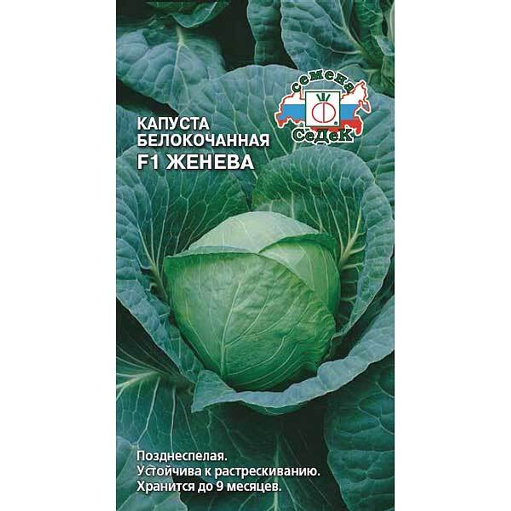 Капуста Женева Седек Ц