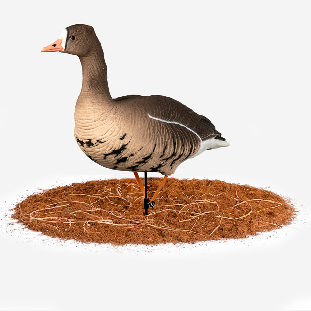 Белолобый гусь Duck Mania "ALFA"