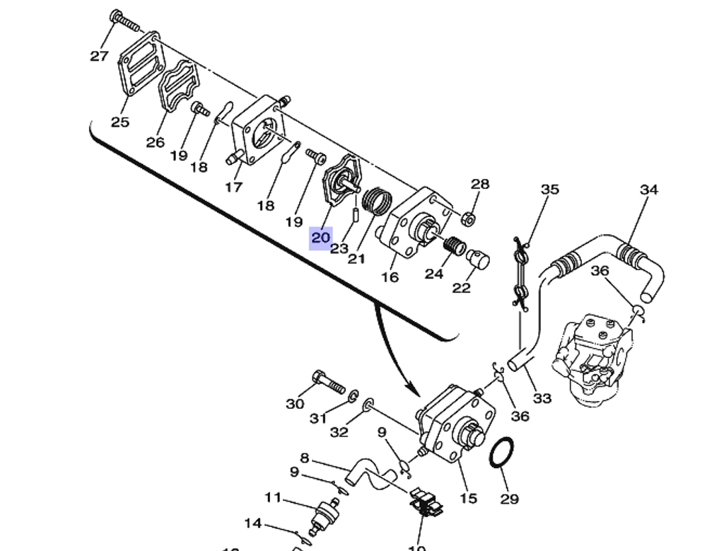 Мембрана бензонасоса 67D244110100