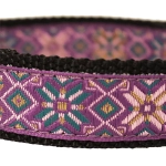 Ошейник усиленный для крупных собак "Поларис" Босс регулируемый