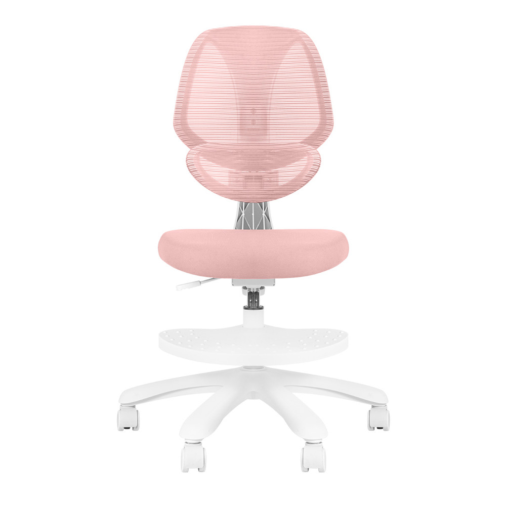 Эргономичное кресло Anatomica Farang