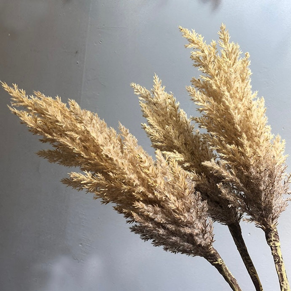 Пампасная трава 90 см, бежевая