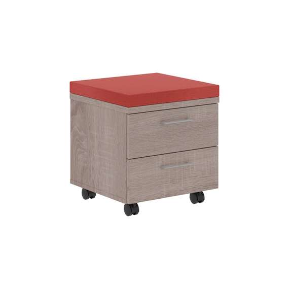 Тумба с подушкой XMC-2D.1A  26-22 465х465х520 XTEN