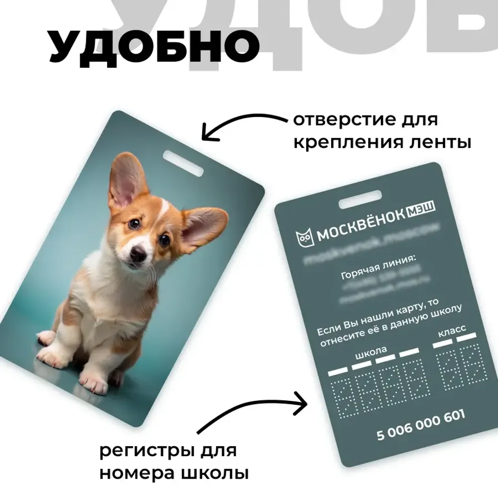 Карта Москвёнок DOGS №6 (проход + питание)