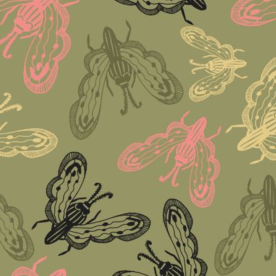 Разноцветные бабочки