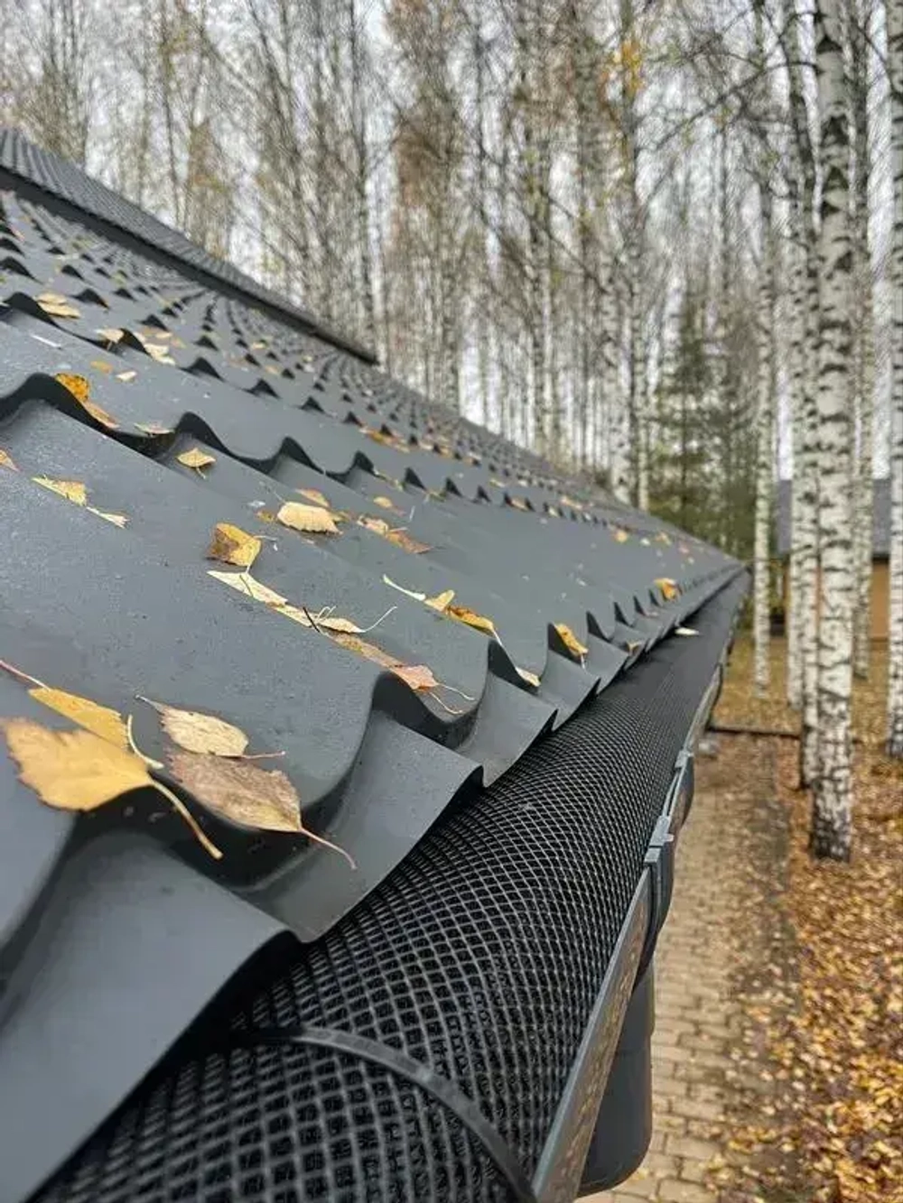 Сетка для защиты водостока, 40 см, 9 м, черный Протэкт