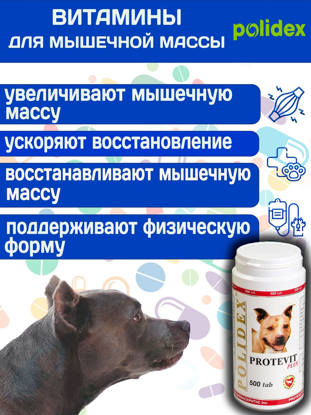 Polidex Protevit Plus для собак, Кормовая добавка для увеличения мышечной массы, Полидек Протевит Плюс, 150 таб
