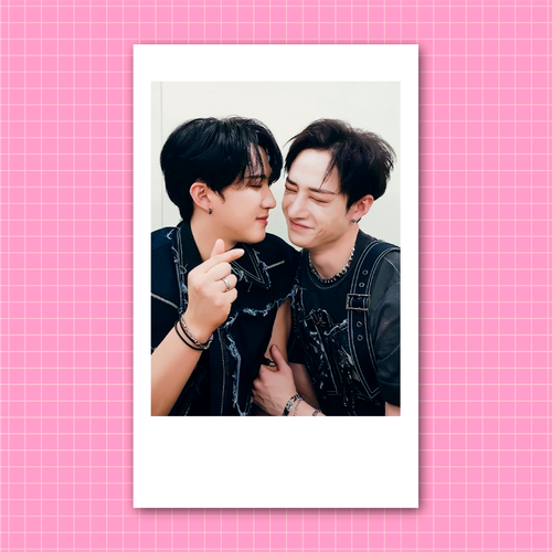 Плюшка / Мини-поло #133 / STRAY KIDS