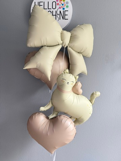 Набор пудровая кошечка